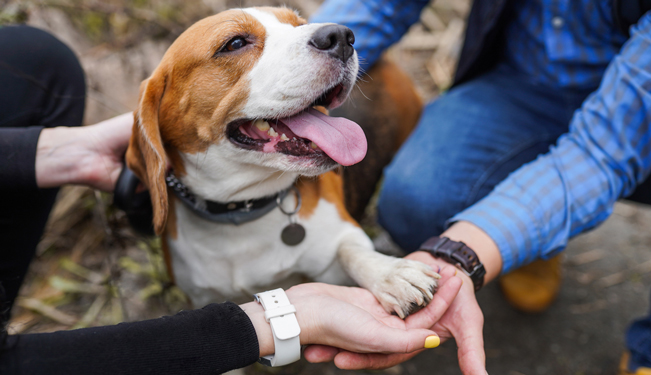 Miniature Réaliser un bilan de santé (07:36)
