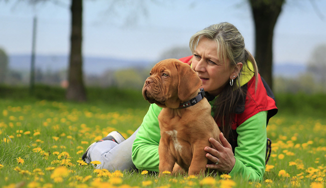 Miniature Apprendre la propreté à mon animal (04:57)