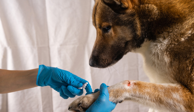 Miniature Réaliser les soins de base (04:41)