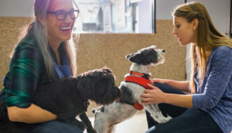 Miniature Formation de Coach certifié en bien-être canin